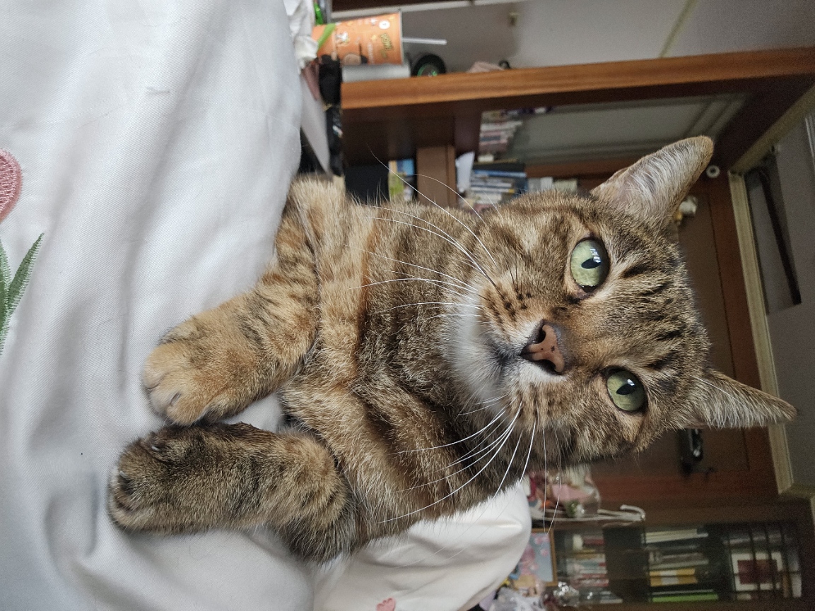 我是測試課程 勿選